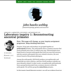 Laboratory inquiry 1: Reconstructing ancestral primates