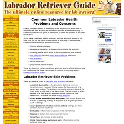Labrador Health