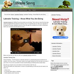 Labrador Training Made Simple