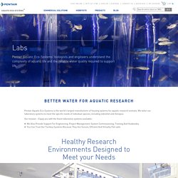 Labs & Aquatic Research