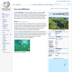 Lac aux Méduses