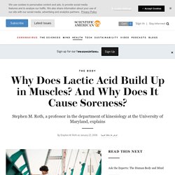 Why Does Lactic Acid Build Up in Muscles? And Why Does It Cause Soreness?