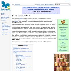 Lacto-fermentation