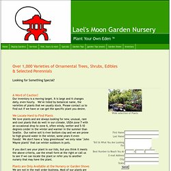 Laels Moon Garden Nursery