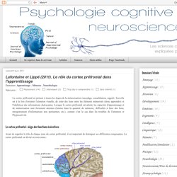 Psychologie cognitive et Neurosciences: Lafontaine et Lippé (2011). Le rôle du cortex préfrontal dans l'apprentissage