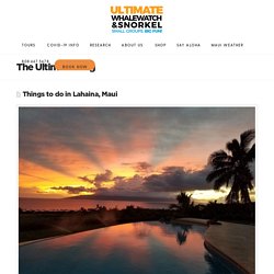 Top Things to do in Lahaina, Maui! - Ultimate Whalewatch & Snorkel