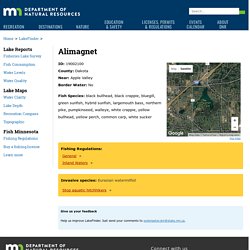 LakeFinder - Alimagnet: Minnesota DNR