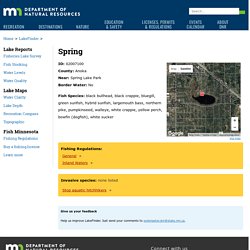 LakeFinder - Spring: Minnesota DNR