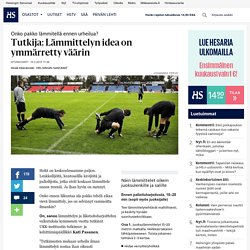 Tutkija: Lämmittelyn idea on ymmärretty väärin - Liikunta - Hyvinvointi - Helsingin Sanomat