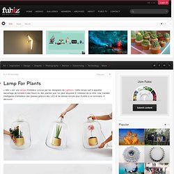 Lamp For Plants