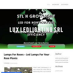 Lamps For Roses – Led Lamps For Your Rose Plants