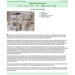 Landforms and Climate of the Taiga Plains Ecozone