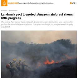 Landmark pact to protect Amazon rainforest shows little progress