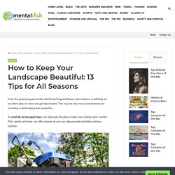 How to Keep Your Landscape Beautiful: 13 Tips for All Seasons – Mental Itch