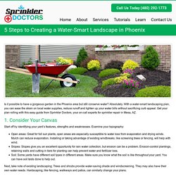 5 Steps to Creating a Water-Smart Landscape in Phoenix - Sprinkler DoctorsSprinkler Doctors