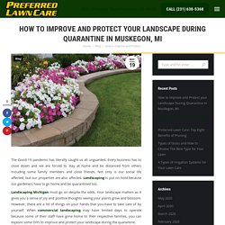 How to Improve and Protect your Landscape During Quarantine