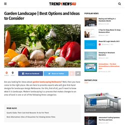 Best Options and Ideas to Consider - TrendyNews4U