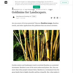 Bamboo Farming: The New Age Goldmine for Landscapers