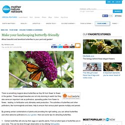 Make your landscaping butterfly-friendly