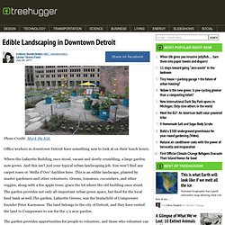 Edible Landscaping in Downtown Detroit