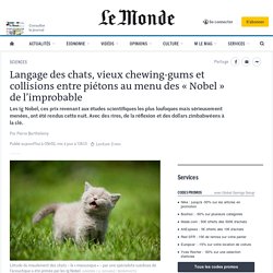 Langage des chats, vieux chewing-gums et collisions entre piétons au menu des « Nobel » de l’improbable
