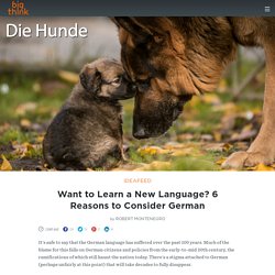 Want to Learn a New Language? 6 Reasons to Consider German
