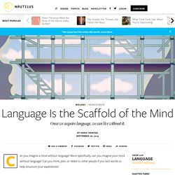 Language Is the Scaffold of the Mind - Issue 76: Language