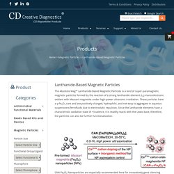 Lanthanide-Based Magnetic Particles