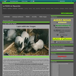 Le lapin Sablé des Vosges - Le blog de Pâquerette