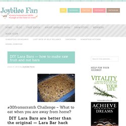DIY Lara Bars — how to make raw fruit and nut bars — Joybilee Farm