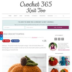 Large Crochet Pumpkin - Crochet 365 Knit Too