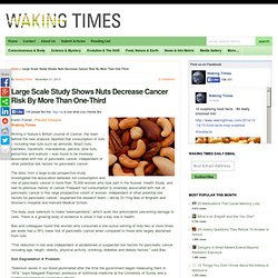 Large Scale Study Shows Nuts Decrease Cancer Risk By More Than One-Third