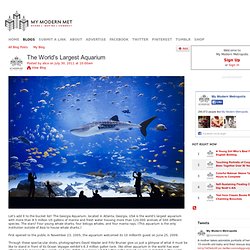 The World's Largest Aquarium
