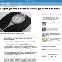 Largest genome-wide study reveals genes driving obesity