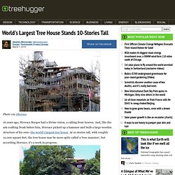 World's Largest Tree House Stands 10-Stories Tall