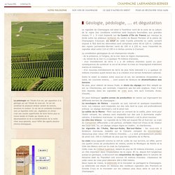 Champagne Larmandier-Bernier - Géologie, pédologie, ... et dégustation
