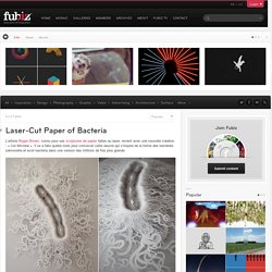 Laser-Cut Paper of Bacteria