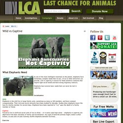 Last Chance for Animals - Wild vs Captive