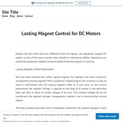 Lasting Magnet Control for DC Motors