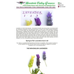 LAVENDER: Choosing,Planting,Growing,Pruning,Harvesting and Using lavender plants