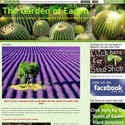 The Garden of Eaden