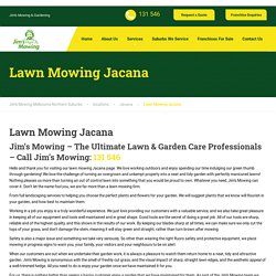 Lawn Mowing Jacana