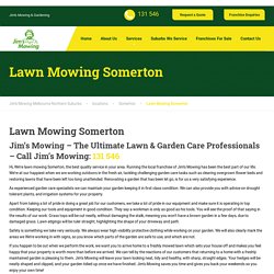 Lawn Mowing Somerton