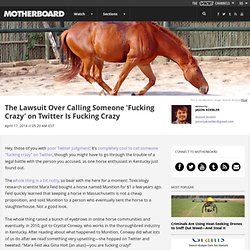 The Lawsuit Over Calling Someone 'Fucking Crazy' on Twitter Is Fucking Crazy