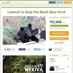 Lawsuit to Stop the Black Bear Hunt by Chuck O'Neal