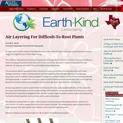 Air Layering For Difficult-To-Root Plants