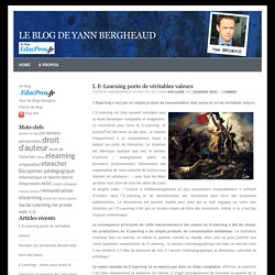 le Blog de Yann BERGHEAUD