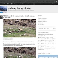 Le blog des Pyrénées