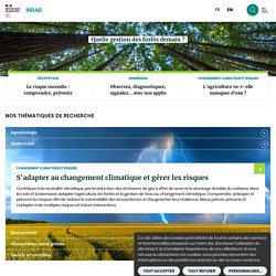 Le Courrier de l'environnement de l'INRA