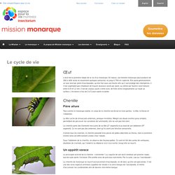 Mission Monarque